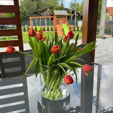 Summer House Wielen *